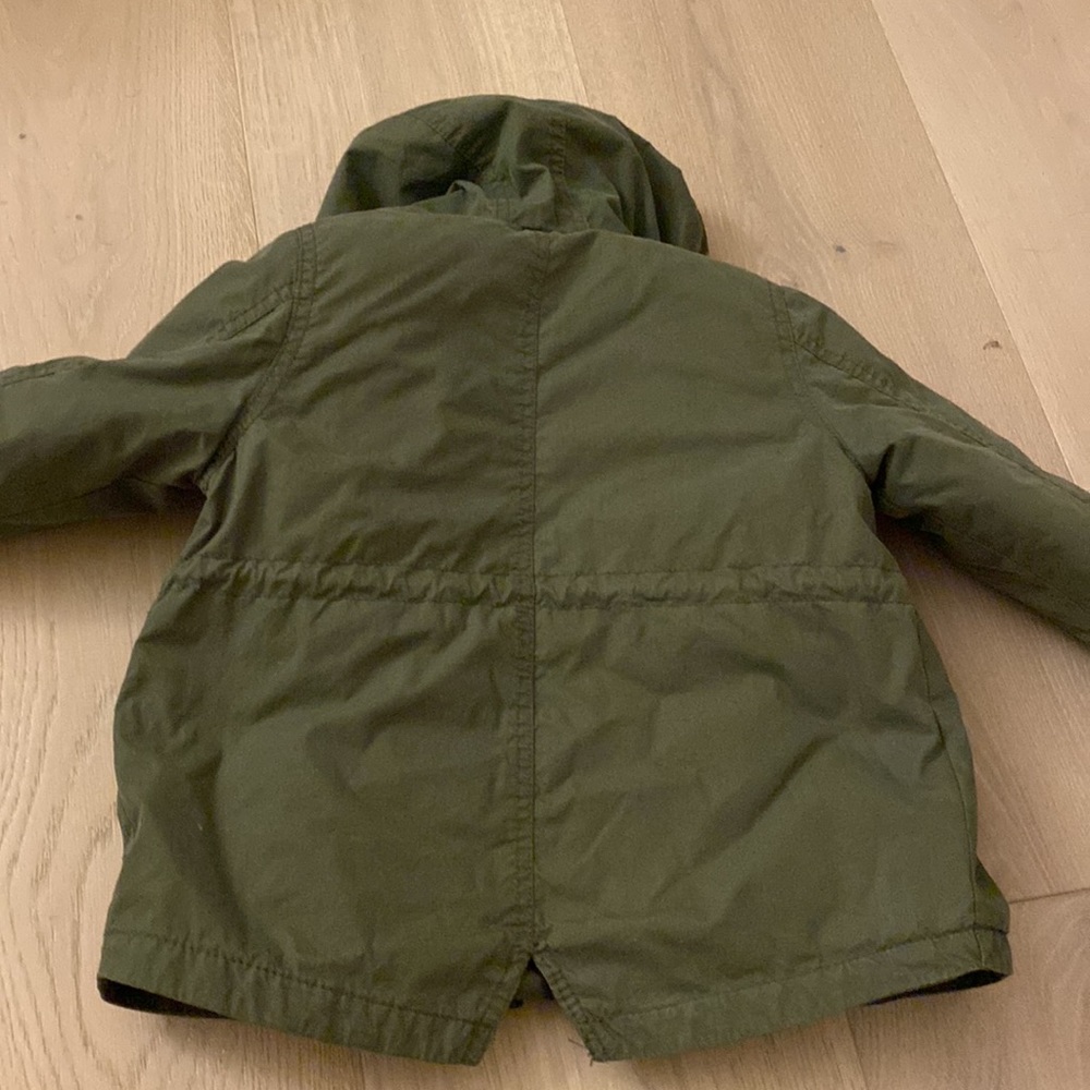 Zara - Picture 7 of 8